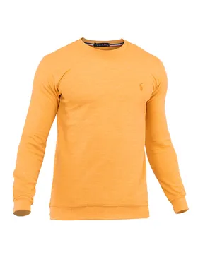 بلوز مردانه Polo