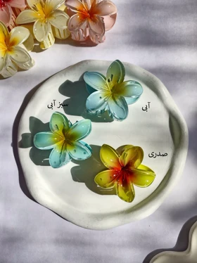 کلیپس پلومریا متوسط