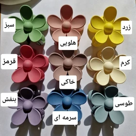 کلیپس گل رنگی