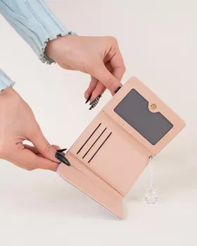 کیف پول تدی