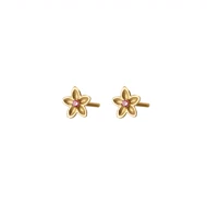 گل گوش بهار Bahar ear pins