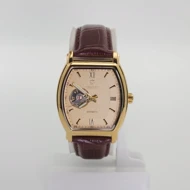 ساعت مچی مردانه چنکسی Chenxi CX8815 موتور اتوماتیک با بند چرم (قهوه ای)