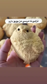 یویو اسکوییشی جوجه