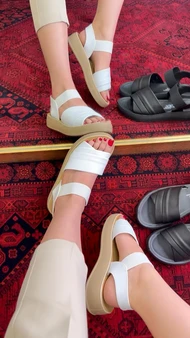 صندل طبی