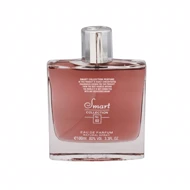 ادو پرفیوم مردانه اسمارت کالکشن شماره 02 حجم 100ml