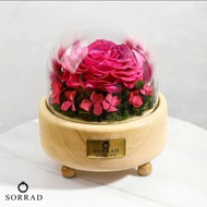 باکس چوبی گوی شیشه ای/ گل صورتی