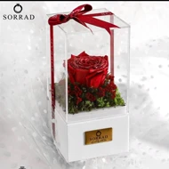 باکس چرمی زیرشکوفه دار / گل رز قرمز
