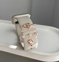 پک اکسسوری اپل واچ پنجه 2