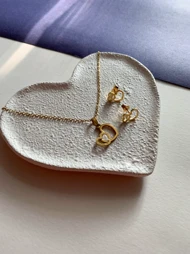 نیمست قلب شنی