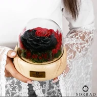 باکس چوبی گوی شیشه ای/ گل رز قرمز-مشکی