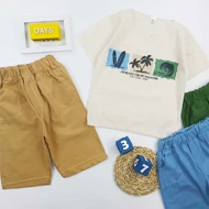 ست کوبایی نخل