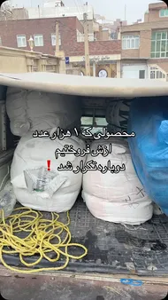 کت زارا