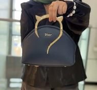 کیف دسته طرح دار دیور