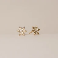 گوشواره برف - Snow earrings