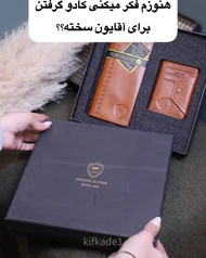 کیف پول پالتویی