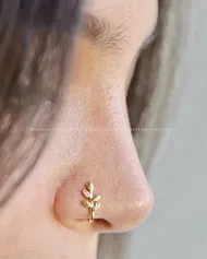 پیر برگ