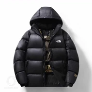کاپشن مردانه The North Face مدل NB7