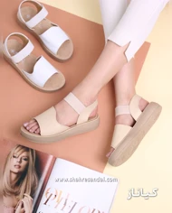 صندل طبی