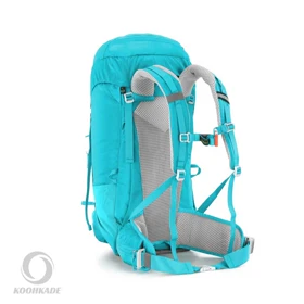 کوله 40 لیتر EVERYDAY