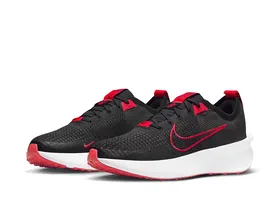 کفش دویدن Nike Interact Run PC_FD2291-007