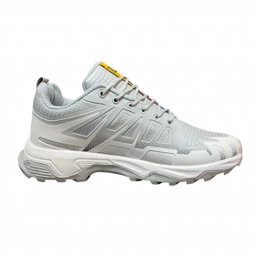 کفش سالامون