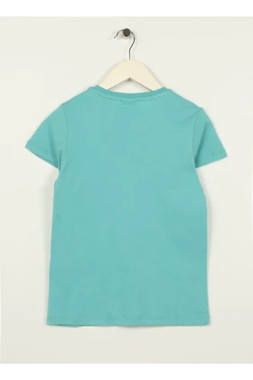 تیشرت مردانه اورجینال assn u.s.-polo-assn.