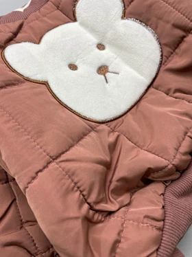 کاپشن جلو بسته تدی