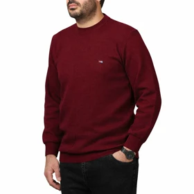 پلیور بافت فندوقی مردانه مدل 659851