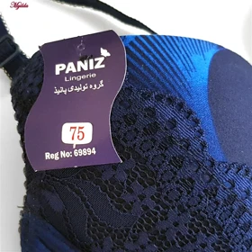 ست شورت و سوتین فنردار زنانه پانیذ مدل پوش آپ سرمه ای کد 4799