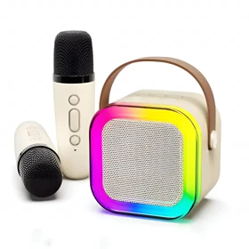 اسپیکر بلوتوثی کارائوکه به همراه دو میکروفون