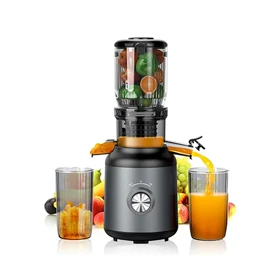 آبمیوه گیری 250W گرین لاین مدل GREEN LION SLOW JUICER GL-SJ250