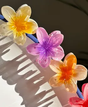 کلیپس رسمی پلاستیکی