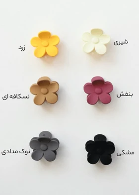 کلیپس مینی شکوفه