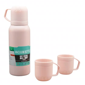 ست فلاسک و لیوان استیل وکیوم مدل DWX ظرفیت 0.6 لیتر