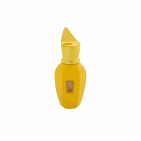 ادوپرفیوم نایس Nice مدل زرجوف کورو Xerjoff Coro حجم 30 میل