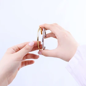 بنگل ولینگتون DANIEL WELLINGTON (سیلور)