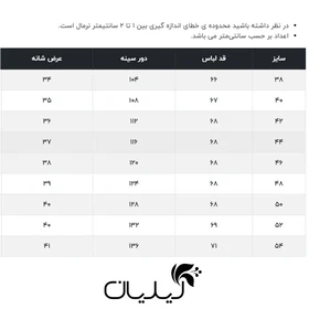 شومیز زنانه فلاویا مدل W1347055SH