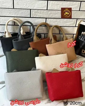 کیف پاسپورتی دستی و دوشی زنانه مینی جیوانچی