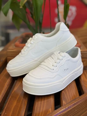 ونس مدل قلبی