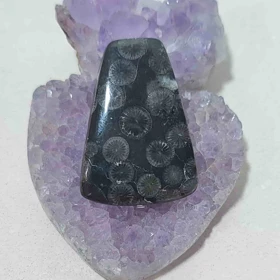 نگین مرجان فسیلی سیاه اصل کد 4