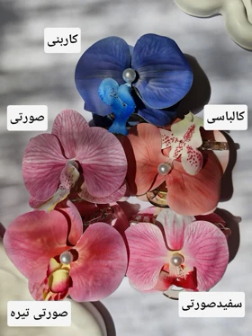 کلیپس ارکیده