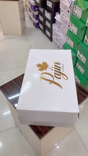 کفش چرم