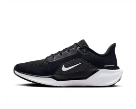 کفش دویدن Nike W Pegasus 41 PC_FD2723-002