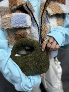 مینی بگ تدی