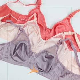 سوتین سایز بزرگ بدون درز فنردار برند نوشه پوش