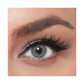 لنز رنگی فصلی لابلا سری پرمیوم La’Bella Premium (Gray (طوسی))