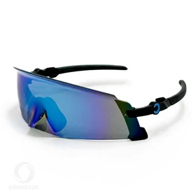 عینک ورزشی مدل 4202L