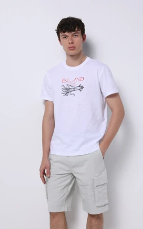 تیشرت مردانه Colin's