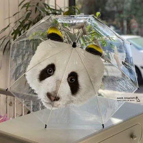 چتر شیشه ای بچگانه طرح حیوانات برجسته