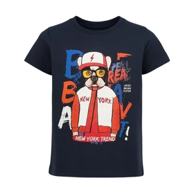 تیشرت آستین کوتاه پسرانه مدل PJ1079